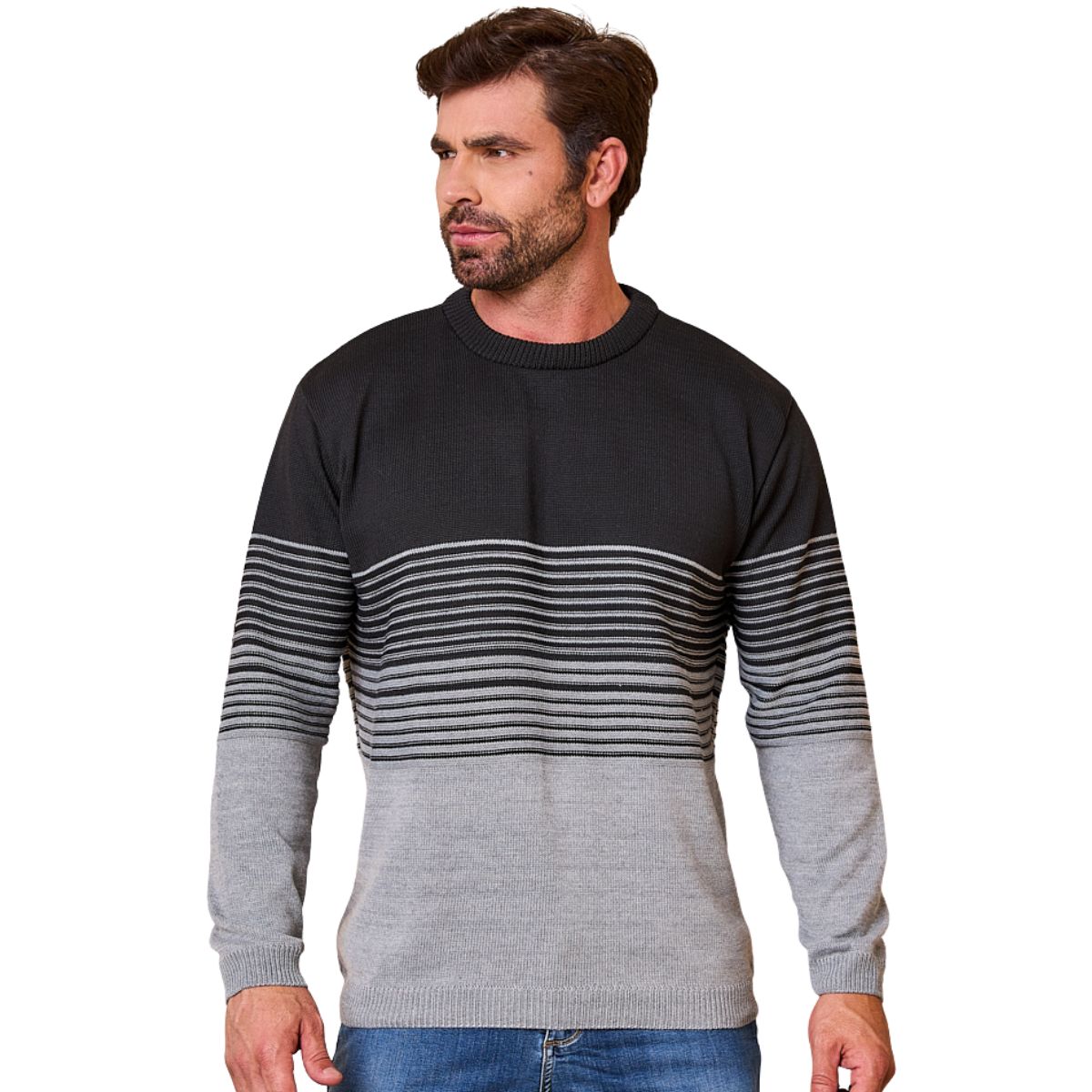 Blusa de Frio Masculina Degrade Gola Careca