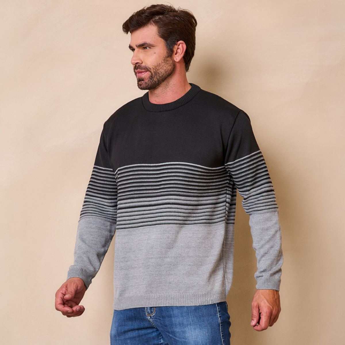 Blusa de Frio Masculina Degrade Gola Careca