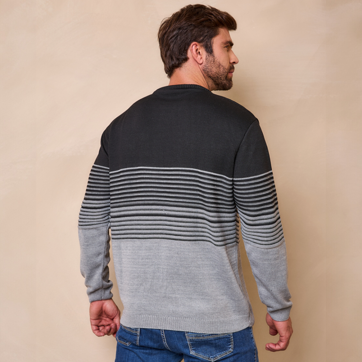 Blusa de Frio Masculina Degrade Gola Careca